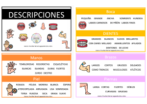 APOYO PARA DESCRIPCIONES